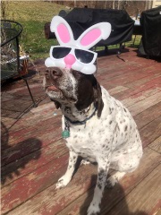 "TC" at easter